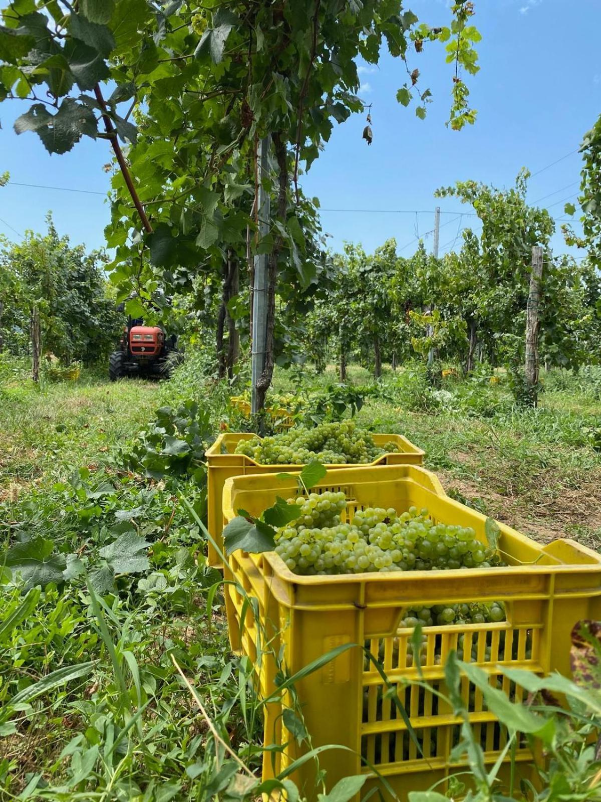 Apartamento La Corte Del Bona - Vicino Alle Cantine E A Circa 15 Minuti Dal Lago Di Iseo - Erbusco Exterior foto